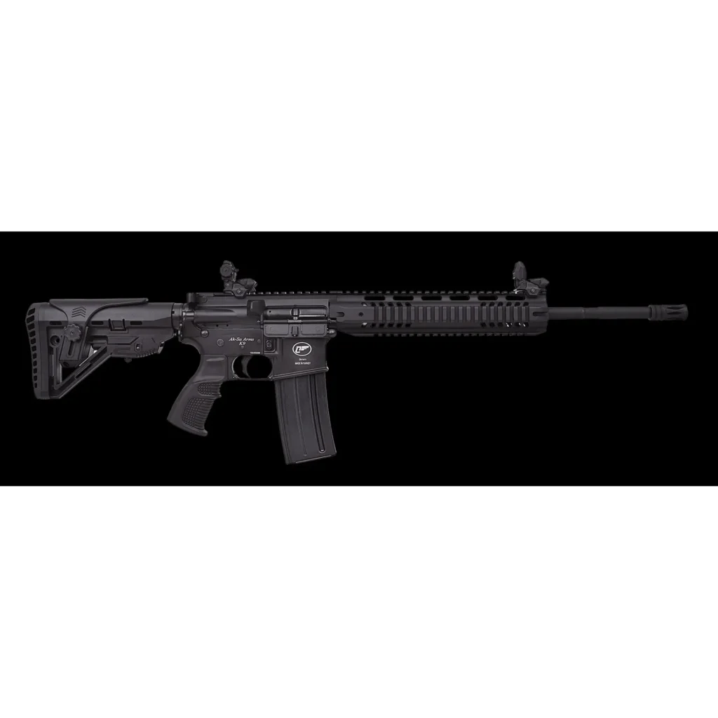 Fusil Traumatico Aksa K9 Mx05 9Mm M16 Ar15